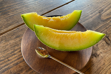 メロン2L1玉クインニーナ1房セット【2026年9月より順次発送】【1666373】