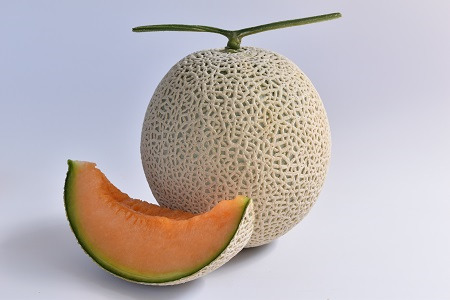 メロンパークの赤肉メロン【2026年10月より順次発送・2Lサイズ1玉】【1666377】