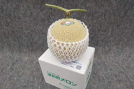 メロンパークの赤肉メロン【2026年10月より順次発送・2Lサイズ1玉】【1666377】