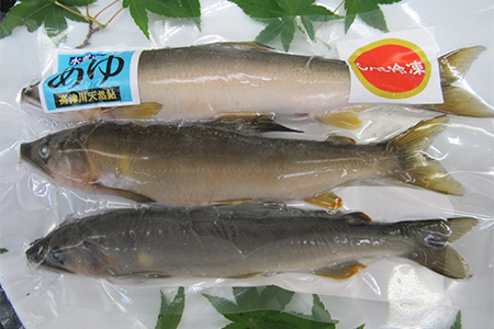【CAS冷凍】スイカの香りと美味しさを閉じ込めた清流・高津川の天然鮎3尾/袋×3(約450g)【配送不可地域：離島】【1209578】