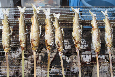 【CAS冷凍】スイカの香りと美味しさを閉じ込めた清流・高津川の天然鮎3尾/袋×3(約450g)【配送不可地域：離島】【1209578】