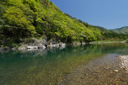 【CAS冷凍】スイカの香りと美味しさを閉じ込めた清流・高津川の天然鮎3尾/袋×3(約450g)【配送不可地域：離島】【1209578】