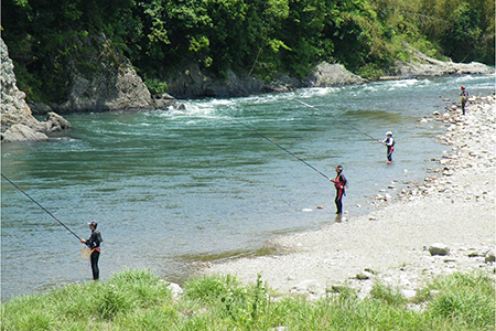 【CAS冷凍】スイカの香りと美味しさを閉じ込めた清流・高津川の天然鮎3尾/袋×3(約450g)【配送不可地域：離島】【1209578】