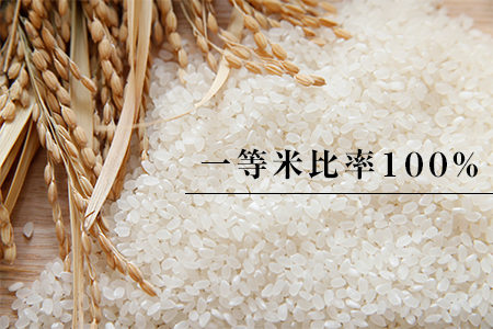 高津川の恵み 特別栽培米ヘルシー元氣米2kg×2袋(4kg)(令和5年産)【1209634】