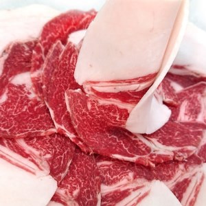 【人気のジビエ】イノシシ肉スライス1kg(250g×4パック)【配送不可地域：離島】【1210016】