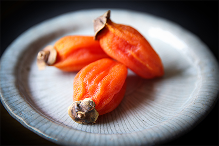 有機JAS認証オーガニック西条柿で作った生干し柿10個【1209588】