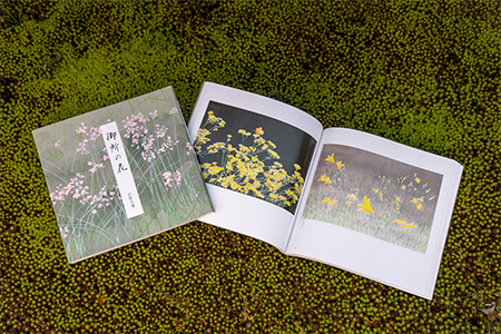 【数量限定】画家、安野光雅が描いた『御所の花』と『中国路』の2冊セット【1227699】