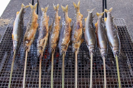 〈清流・高津川産〉香味豊かな天然鮎の炭火塩焼き1匹入りレトルト×2袋【1287879】