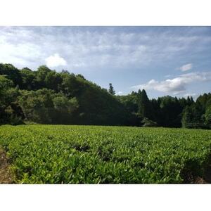 津和野町産煎茶を使用した「粉末煎茶」30g×3パック【1415833】