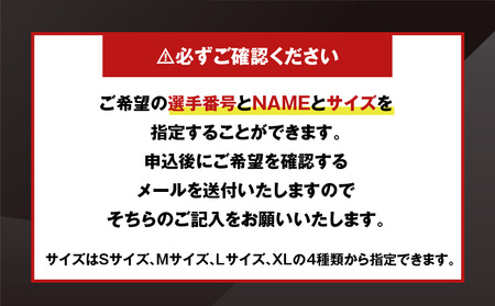 2025-2026シーズン オーセンティック ユニフォーム ・ ホーム T018-004 レッドイーグルス北海道 オーセンティックユニフォーム 北海道 ホーム戦 アイスホッケー スポーツ ファッション 衣類 服 株式会社レッドイーグルス北海道 ふるさと納税 苫小牧市 おすすめ ランキング プレゼント ギフト