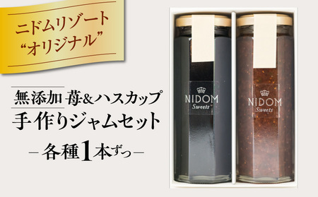 ニドムオリジナル 手作り ジャム セット 2種（苺/ハスカップ）T067-008 果物 加工食品