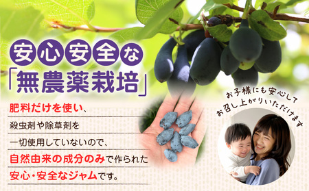 苫小牧市民還元 ハスカップジャム T044-017 ハスカップ ジャム スイーツ フルーツ 無農薬 食パン ヨーグルト トースト クラッカー 甘い 栄養 カルシウム ビタミンC 鉄分 アントシアニン 美味しい 北海道 三星 ふるさと納税 苫小牧市 おすすめ ランキング プレゼント ギフト