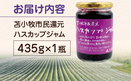 苫小牧市民還元 ハスカップジャム T044-017 ハスカップ ジャム スイーツ フルーツ 無農薬 食パン ヨーグルト トースト クラッカー 甘い 栄養 カルシウム ビタミンC 鉄分 アントシアニン 美味しい 北海道 三星 ふるさと納税 苫小牧市 おすすめ ランキング プレゼント ギフト