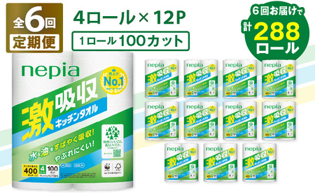 【 全6回 定期便 】 紙 のまち苫小牧 王子ネピア 激吸収 キッチンタオル 100（48ロール×6回） T001-T02 キッチンペーパー キッチン タオル ペーパー ペーパータオル 2枚重ね コンパクト 長持ち ミシン目 厚手 吸収力 吸水 フレッシュパルプ ネピア nepia 日用品 消耗品 キッチン用品 料理 掃除 まとめ買い 大容量 定期 防災 備蓄 開発ストア ふるさと納税 北海道 苫小牧市 おすすめ ランキング プレゼント ギフト