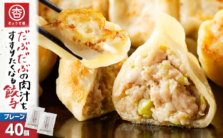 だぶだぶ の 肉汁 を すすりたくなる餃子 40個 T060-001 惣菜 総菜 加工食品
