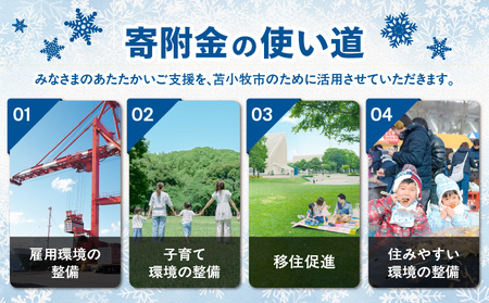 北海道 苫小牧市 応援寄附金 （ 返礼品なし ） 1,000円 T000-001-01 寄附 寄付 寄附金 寄付金 応援寄付金 雇用環境の整備 子育て環境の整備 移住促進 住みやすい環境の整備 ふるさと納税 おすすめ ランキング プレゼント ギフト