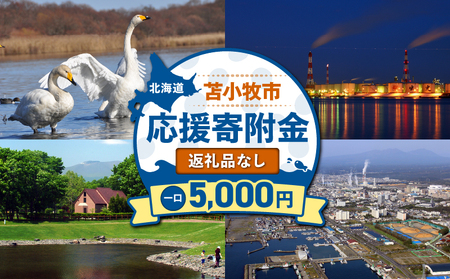北海道 苫小牧市 応援寄附金 （ 返礼品なし ） 5,000円 T000-001-02 寄附 寄付 寄附金 寄付金 応援寄付金 雇用環境の整備 子育て環境の整備 移住促進 住みやすい環境の整備 ふるさと納税 おすすめ ランキング プレゼント ギフト