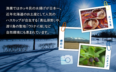 北海道 苫小牧市 応援寄附金 （ 返礼品なし ） 10,000円 T000-001-03 寄附 寄付 寄附金 寄付金 応援寄付金 雇用環境の整備 子育て環境の整備 移住促進 住みやすい環境の整備 ふるさと納税 おすすめ ランキング プレゼント ギフト