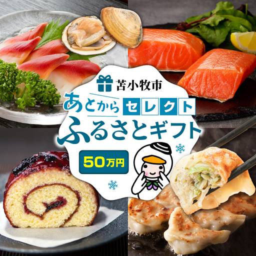 あとから セレクト 【 ふるさと ギフト 】 50万円 T000-000-15 肉 魚 野菜 チケット
