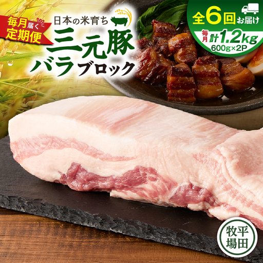 【 全6回 毎月 定期便 】 日本 の 米育ち 平田牧場 三元豚 バラ ブロック 1.2kg T036-T09-02 肉 豚肉