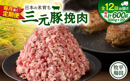 【 全12回 毎月 定期便 】 日本 の 米育ち 平田牧場 三元豚 ひき肉 600g T036-T12-03 肉 豚肉 11,250円