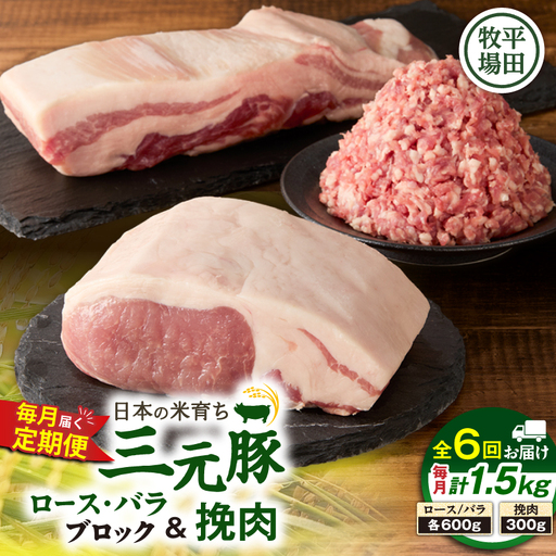 【 全6回 毎月 定期便 】 日本 の 米育ち 平田牧場 三元豚 バラブロック 600g ・ 豚ロースブロック 600g ・ 豚挽肉 300g T036-T14-02 肉 豚肉