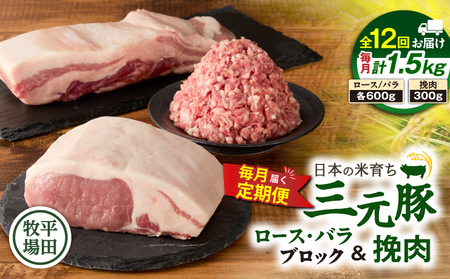 【 全12回 毎月 定期便 】 日本 の 米育ち 平田牧場 三元豚 バラブロック 600g ・ 豚ロースブロック 600g ・ 豚挽肉 300g T036-T14-03 肉 豚肉