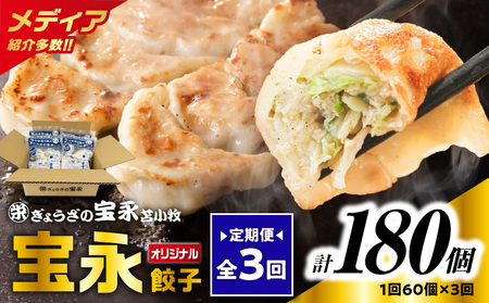 【 全3回 定期便 （ 毎月 ） 】 ぎょうざの宝永 宝永 餃子 15個入 セット （ 宝永餃子 15個入 × 4袋 ） 合計 1.5kg T004-T01-02 惣菜 総菜 加工食品