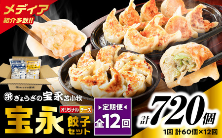 【 全12回 定期便 （ 毎月 ） 】 チーズ 餃子 セット （ 宝永餃子 15個入 × 2袋 ＆ チーズ餃子 15個入 × 2袋 ） 合計1.5kg T004-T02-05 惣菜 総菜 加工食品