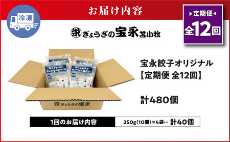 【 全12回 定期便 （毎月 ） 】 宝永 餃子 10個入 セット （ 宝永餃子 10個入 × 4袋 ） 合計 1.0kg T004-T03-05 惣菜 総菜 加工食品