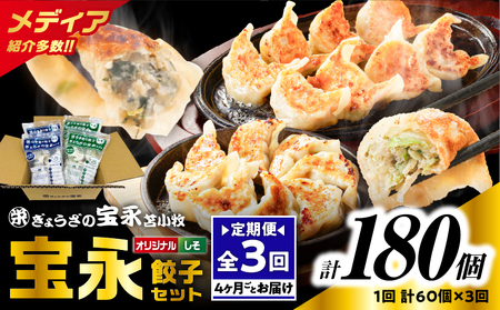 【 全3回 定期便（4ヶ月毎）】ぎょうざ の 宝永 しそ餃子セット（ 宝永餃子 15個入×2袋＆ しそ餃子 15個入×2袋 ）合計1.5kg T004-T04-01 惣菜 総菜 ギョウザ 餃子 