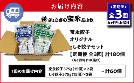【 全3回 定期便（4ヶ月毎）】ぎょうざ の 宝永 しそ餃子セット（ 宝永餃子 15個入×2袋＆ しそ餃子 15個入×2袋 ）合計1.5kg T004-T04-01 惣菜 総菜 ギョウザ 餃子 