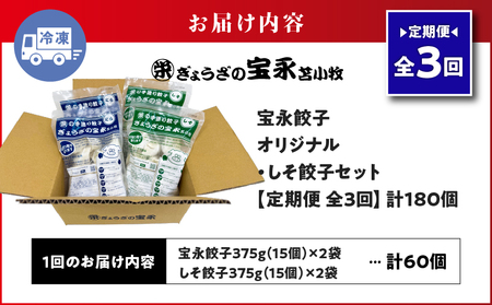 【 全3回 定期便（毎月）】ぎょうざ の 宝永 しそ餃子セット（ 宝永餃子 15個入×2袋＆ しそ餃子 15個入×2袋 ）合計1.5kg T004-T04-02 惣菜 総菜 ギョウザ 餃子 