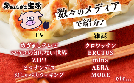 【 全6回定期便（毎月）】ぎょうざ の 宝永 しそ餃子セット（ 宝永餃子 15個入×2袋＆ しそ餃子 15個入×2袋 ）合計1.5kg T004-T04-04 惣菜 総菜 ギョウザ 餃子 