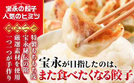 【 全6回定期便（毎月）】ぎょうざ の 宝永 しそ餃子セット（ 宝永餃子 15個入×2袋＆ しそ餃子 15個入×2袋 ）合計1.5kg T004-T04-04 惣菜 総菜 ギョウザ 餃子 