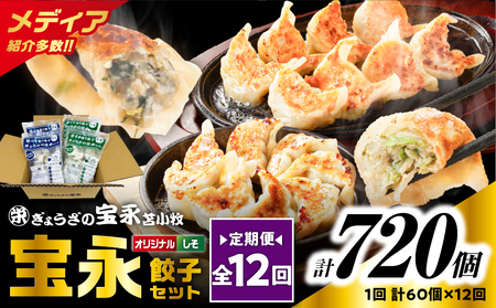 【 全12回 定期便（毎月）】ぎょうざ の 宝永 しそ餃子セット（ 宝永餃子 15個入×2袋＆ しそ餃子 15個入×2袋 ）合計1.5kg T004-T04-05 定期便 惣菜 総菜 ギョウザ 餃子 