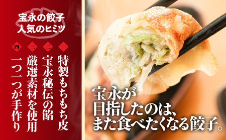 【ぎょうざの宝永】宝永餃子（500g×2袋）＆チーズ餃子（375g×3袋）セット　合計2,125g　T004-002 餃子 ぎょうざ 冷凍餃子 チーズ 食べ比べ 食べ比べセット 冷凍 惣菜 おかず おつまみ お取り寄せ 苫小牧市 苫小牧 北海道 送料無料