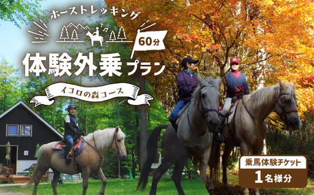 ホーストレッキング 体験外乗プラン 60分 「イコロの森コース」　T014-001 北海道 苫小牧