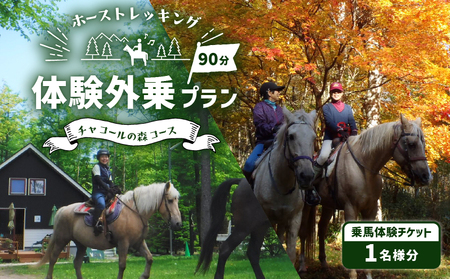 ホーストレッキング 体験外乗プラン 90分 「チャコールの森コース」　T014-002 北海道 苫小牧