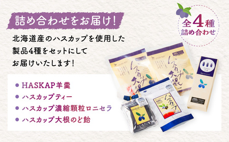 【ハスカップ商品詰め合わせ】 T040-001 HASKAP羊羹 ハスカップ ティーバッグ 濃縮顆粒 ロニセラ 大根 のど飴 ようかん フレーバーティー あめ 詰め合わせ セット お菓子 おやつ はすかっぷサービス 北海道 苫小牧市 おすすめ ランキング プレゼント ギフト