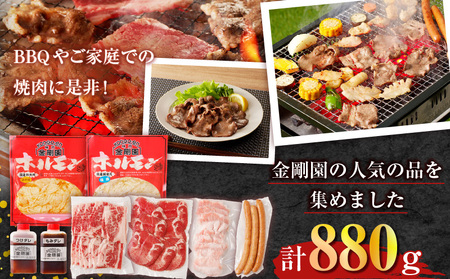 金剛園 焼肉セット　T054-002 焼肉 セット 肉 牛 豚 BBQ バーベキュー カルビ 豚トロ ホルモン 直腸 タン塩 ウインナー つけだれ もみだれ タレ付き 冷凍 小分け 保存 お取り寄せ 肉 お肉 おかず 惣菜 味付き 苫小牧市 苫小牧 北海道 送料無料