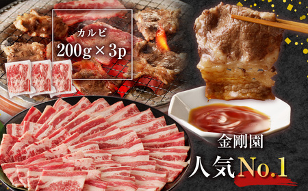 金剛園 特製カルビ・ホルモンセット　T054-003 肉 牛肉