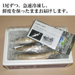 高津川天然あゆ冷凍　1200g(吉賀町)【配送不可地域：離島】【1259205】
