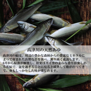 高津川天然あゆ冷凍　1200g(吉賀町)【配送不可地域：離島】【1259205】