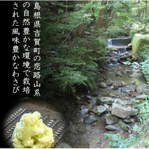 根わさび、わさび漬けセット【配送不可地域:離島】【1259756 根わさび、わさび漬けセット【配送不可地域:離島】【1259756