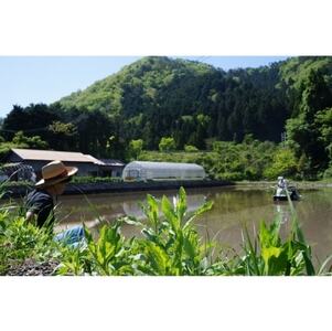 かきもち 6袋セット【1261771】