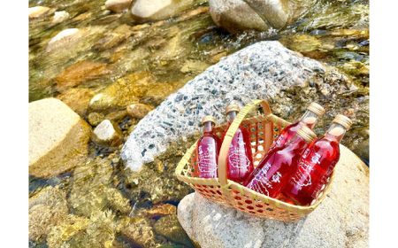 ブルーベリーサイダー 5本セット【1397076】