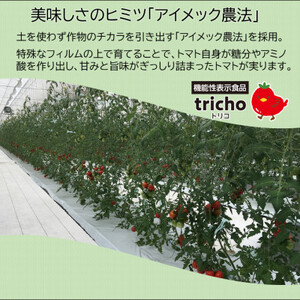 高糖度フルーツトマト「tricho(トリコ)」1.2kg【配送不可地域：離島】【1420206】