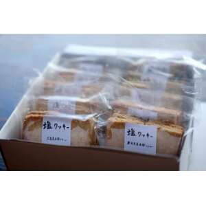 塩クッキー10袋セット(レモン、よもぎ、番茶、大豆、しょうが　各2袋)【1448608】