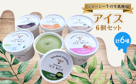 ジャージー牛の生乳を使用したアイス6個セット(ミルク・チョコ・コーヒー・いちご・抹茶・かぼちゃ)【配送不可地域：離島】【1576638】